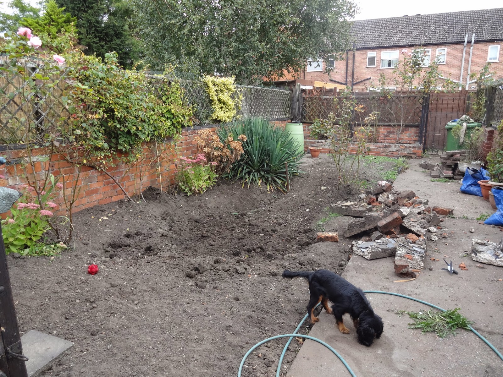 Removing Concrete in the Garden - Kezzabeth | DIY & Renovation Blog Removing Concrete in the Garden - Kezzabeth | DIY & Renovation Blog