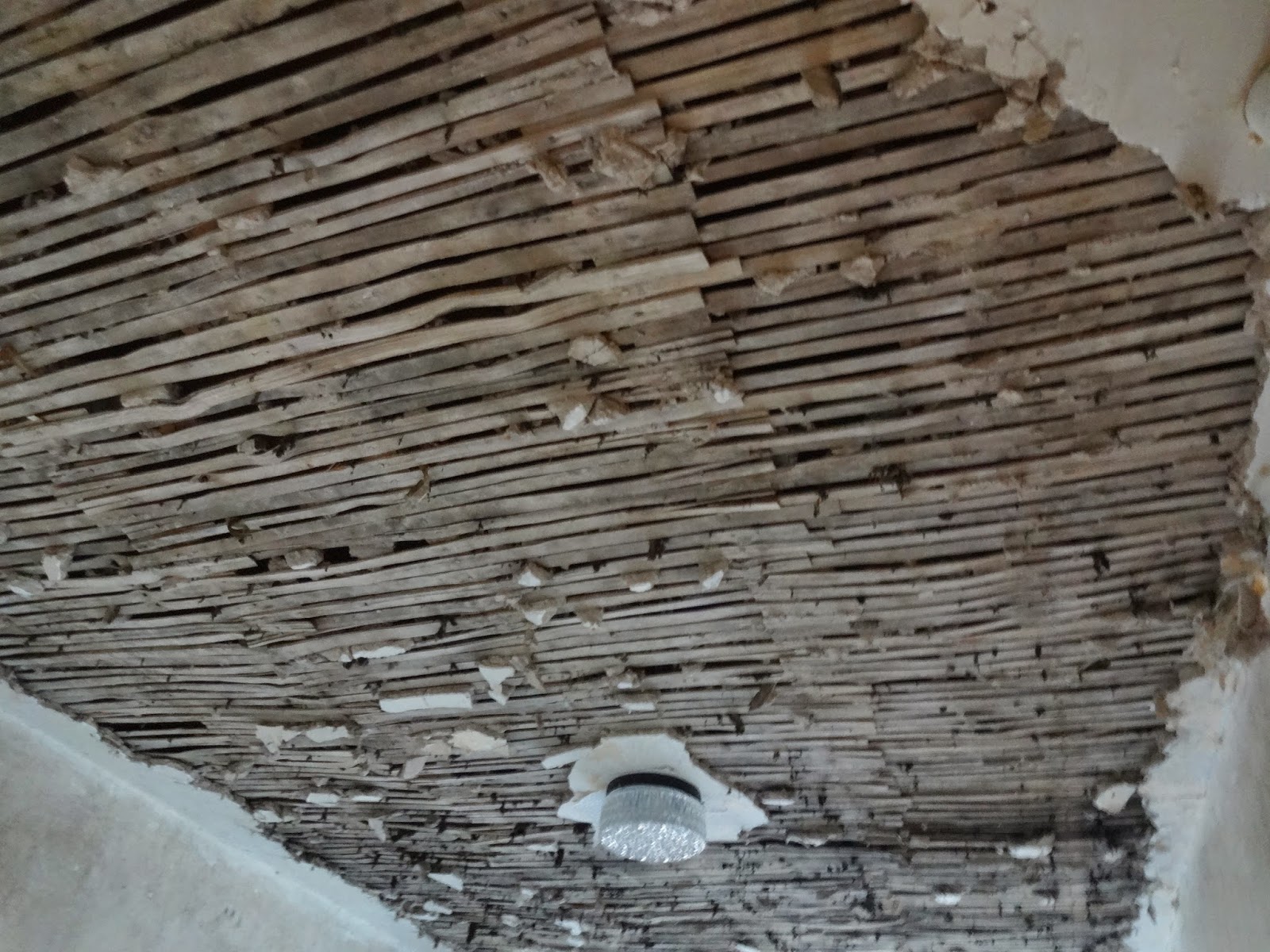 Removing Lath and Plaster Ceiling, Part 2 - Kezzabeth ...